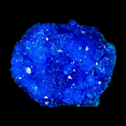 2.1" Electric Blue Chalcanthite Mineral Crystal Specimen Location Poland Sokolowski