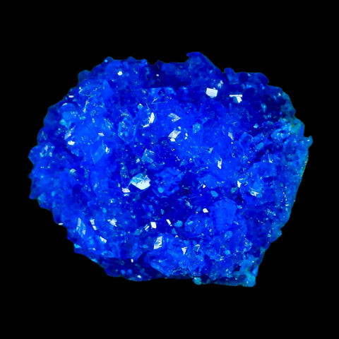 2.1" Electric Blue Chalcanthite Mineral Crystal Specimen Location Poland Sokolowski - Fossil Age Minerals