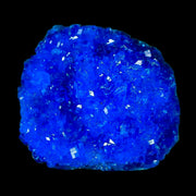 2" Electric Blue Chalcanthite Mineral Crystal Specimen Location Poland Sokolowski