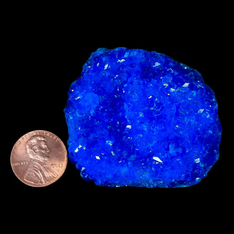 2" Electric Blue Chalcanthite Mineral Crystal Specimen Location Poland Sokolowski - Fossil Age Minerals