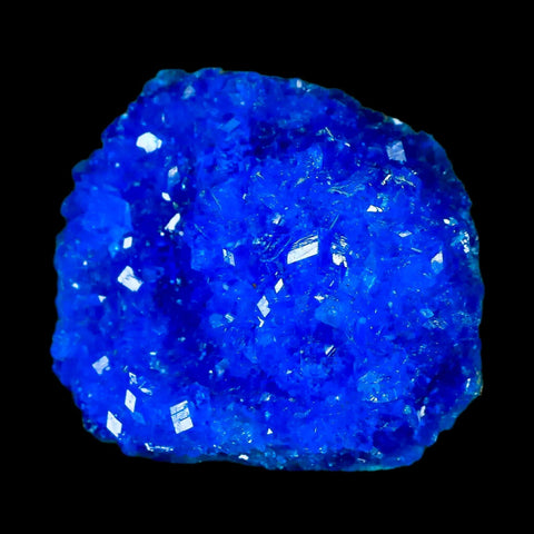 2" Electric Blue Chalcanthite Mineral Crystal Specimen Location Poland Sokolowski - Fossil Age Minerals