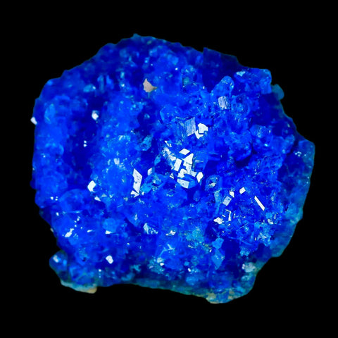 2.1" Electric Blue Chalcanthite Mineral Crystal Specimen Location Poland Sokolowski - Fossil Age Minerals