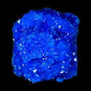 1.9" Electric Blue Chalcanthite Mineral Crystal Specimen Location Poland Sokolowski