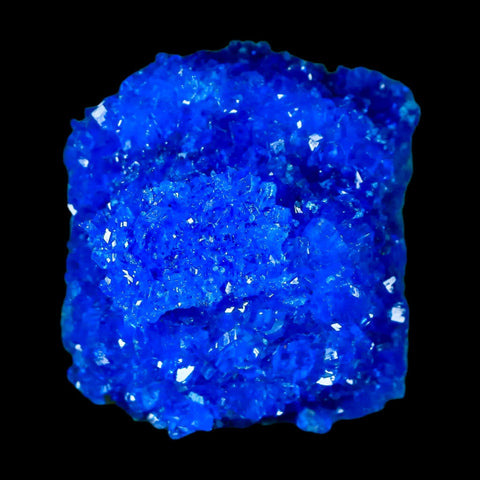 1.9" Electric Blue Chalcanthite Mineral Crystal Specimen Location Poland Sokolowski - Fossil Age Minerals