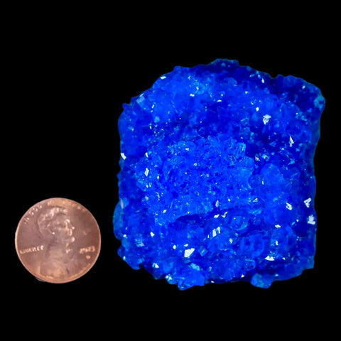 1.9" Electric Blue Chalcanthite Mineral Crystal Specimen Location Poland Sokolowski - Fossil Age Minerals