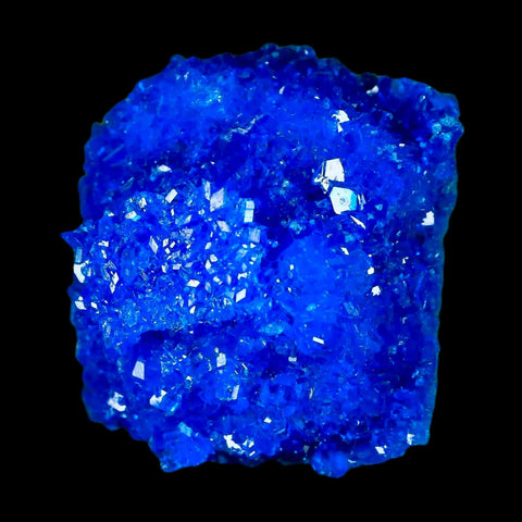 1.9" Electric Blue Chalcanthite Mineral Crystal Specimen Location Poland Sokolowski - Fossil Age Minerals