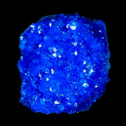 1.9" Electric Blue Chalcanthite Mineral Crystal Specimen Location Poland Sokolowski