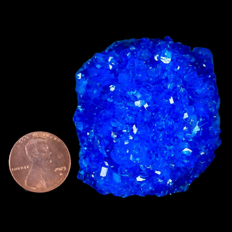 1.9" Electric Blue Chalcanthite Mineral Crystal Specimen Location Poland Sokolowski - Fossil Age Minerals