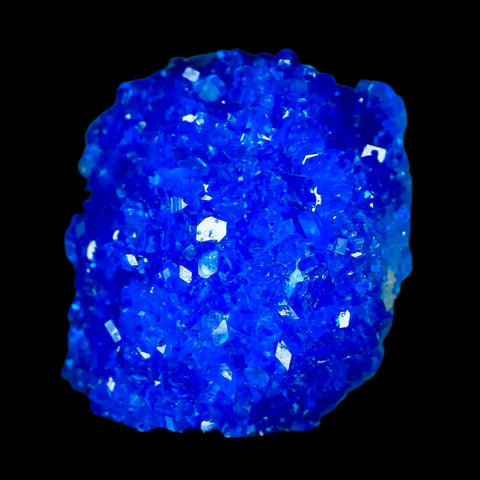 1.9" Electric Blue Chalcanthite Mineral Crystal Specimen Location Poland Sokolowski - Fossil Age Minerals