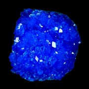 1.8" Electric Blue Chalcanthite Mineral Crystal Specimen Location Poland Sokolowski