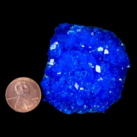 1.8" Electric Blue Chalcanthite Mineral Crystal Specimen Location Poland Sokolowski - Fossil Age Minerals