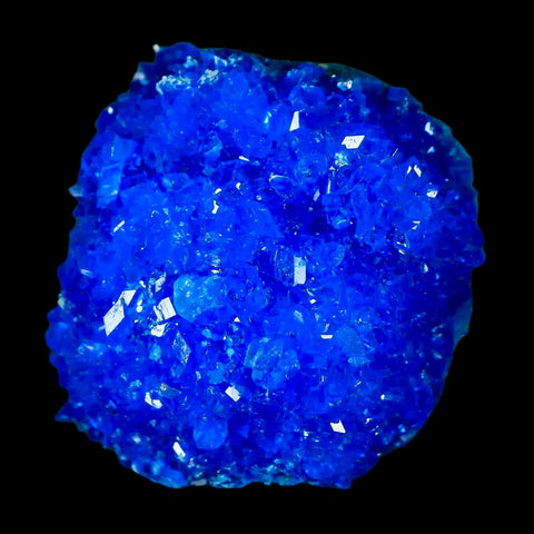 1.8" Electric Blue Chalcanthite Mineral Crystal Specimen Location Poland Sokolowski - Fossil Age Minerals