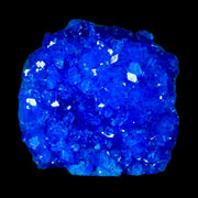 1.9" Electric Blue Chalcanthite Mineral Crystal Specimen Location Poland Sokolowski