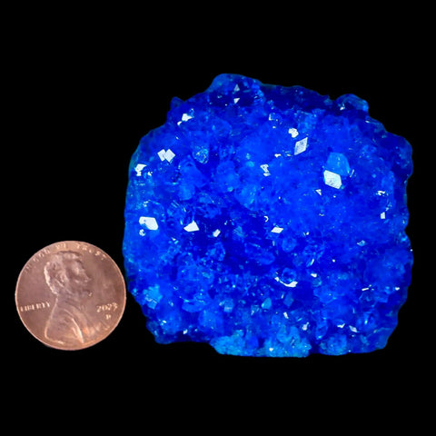 1.9" Electric Blue Chalcanthite Mineral Crystal Specimen Location Poland Sokolowski - Fossil Age Minerals