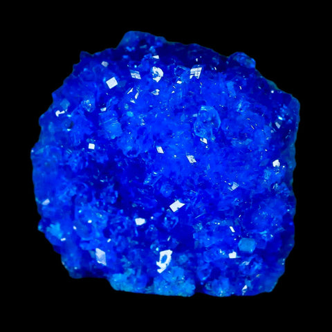 1.9" Electric Blue Chalcanthite Mineral Crystal Specimen Location Poland Sokolowski - Fossil Age Minerals