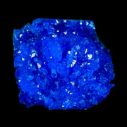 1.8" Electric Blue Chalcanthite Mineral Crystal Specimen Location Poland Sokolowski