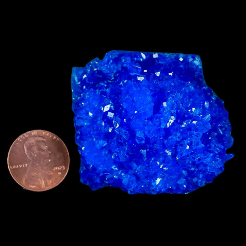 1.8" Electric Blue Chalcanthite Mineral Crystal Specimen Location Poland Sokolowski - Fossil Age Minerals