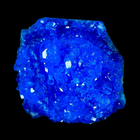 1.8" Electric Blue Chalcanthite Mineral Crystal Specimen Location Poland Sokolowski - Fossil Age Minerals