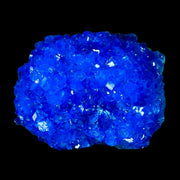 1.9" Electric Blue Chalcanthite Mineral Crystal Specimen Location Poland Sokolowski