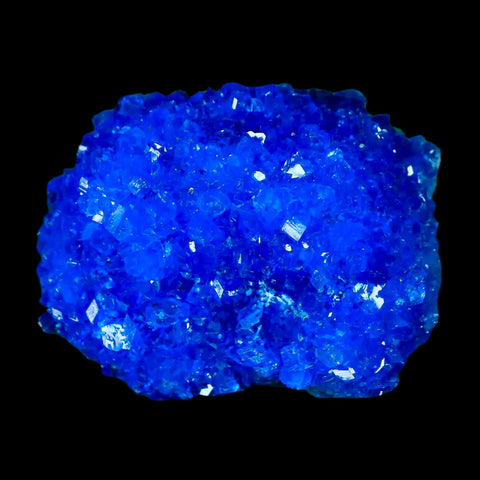 1.9" Electric Blue Chalcanthite Mineral Crystal Specimen Location Poland Sokolowski - Fossil Age Minerals