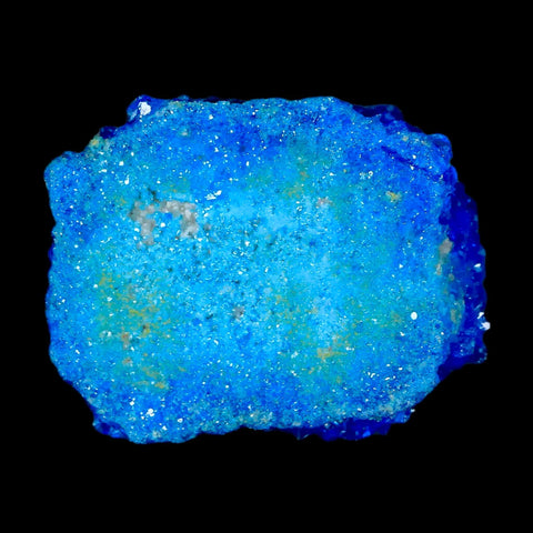 1.9" Electric Blue Chalcanthite Mineral Crystal Specimen Location Poland Sokolowski - Fossil Age Minerals