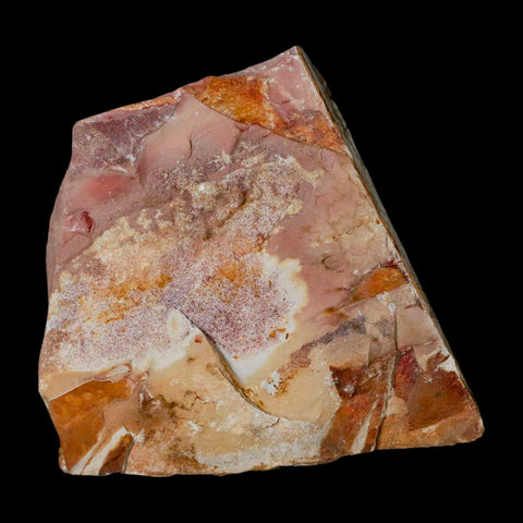 4" Detailed Glossopteris Browniana Fossil Plant Leafs Permian Age Australia - Fossil Age Minerals