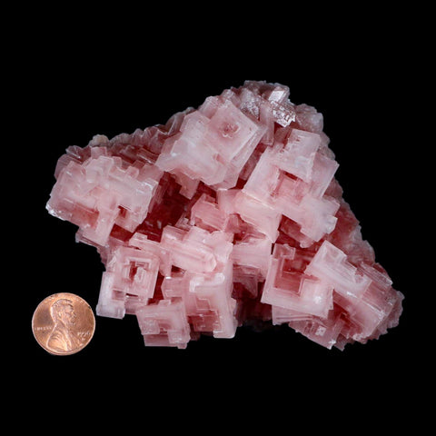 4.5" Quality Pink Halite Salt Crystals Cluster Mineral Trona, CA Searles Lake - Fossil Age Minerals