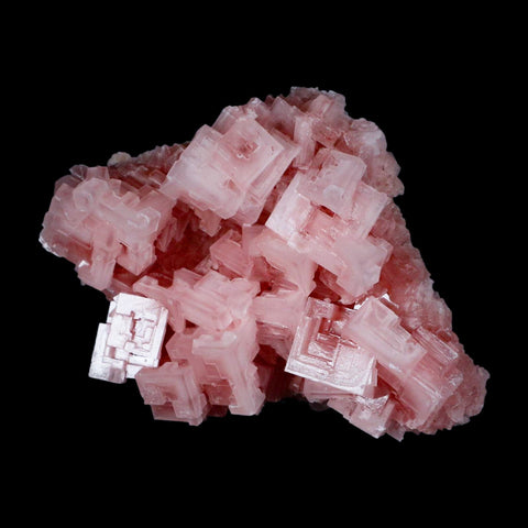 4.5" Quality Pink Halite Salt Crystals Cluster Mineral Trona, CA Searles Lake - Fossil Age Minerals