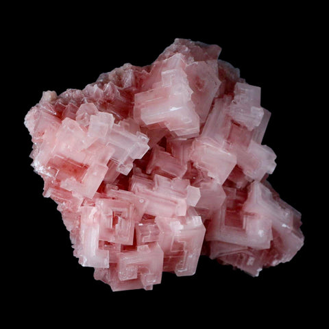 4.5" Quality Pink Halite Salt Crystals Cluster Mineral Trona, CA Searles Lake - Fossil Age Minerals