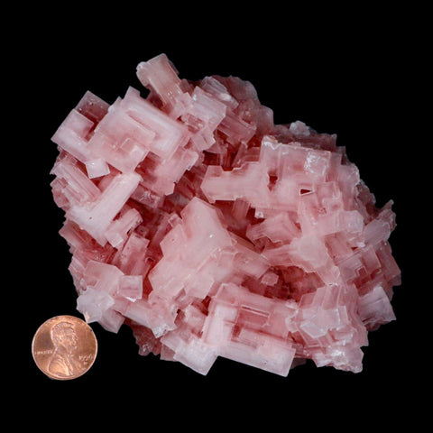 4.5" Quality Pink Halite Salt Crystals Cluster Mineral Trona, CA Searles Lake - Fossil Age Minerals