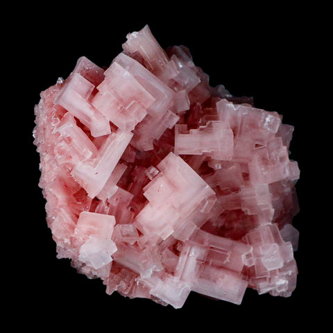 4.5" Quality Pink Halite Salt Crystals Cluster Mineral Trona, CA Searles Lake - Fossil Age Minerals