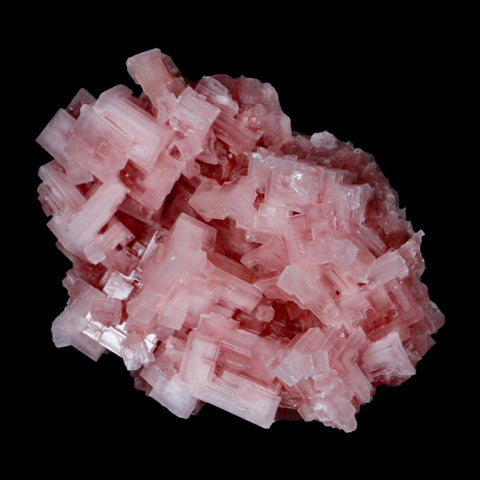 4.5" Quality Pink Halite Salt Crystals Cluster Mineral Trona, CA Searles Lake - Fossil Age Minerals