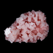 5.5" Quality Pink Halite Salt Crystals Cluster Mineral Trona, CA Searles Lake