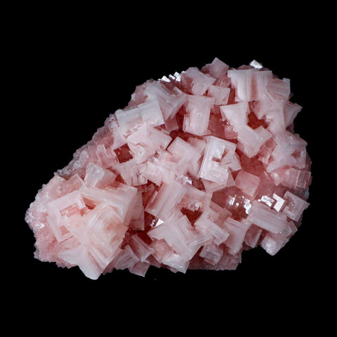 5.5" Quality Pink Halite Salt Crystals Cluster Mineral Trona, CA Searles Lake - Fossil Age Minerals