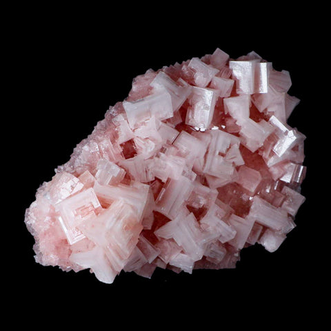 5.5" Quality Pink Halite Salt Crystals Cluster Mineral Trona, CA Searles Lake - Fossil Age Minerals