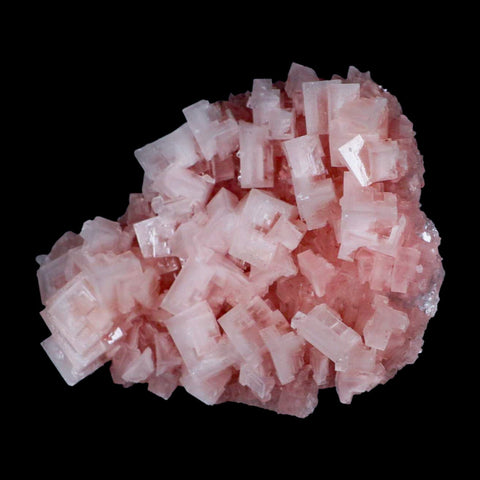 5.5" Quality Pink Halite Salt Crystals Cluster Mineral Trona, CA Searles Lake - Fossil Age Minerals