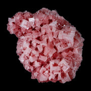 4.7" Quality Deep Pink Halite Salt Crystals Cluster Mineral Trona, CA Searles Lake