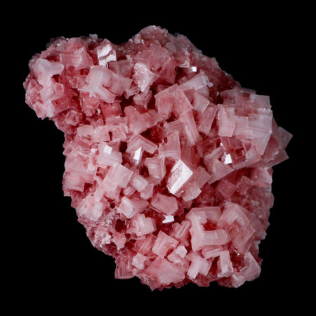 4.7" Quality Deep Pink Halite Salt Crystals Cluster Mineral Trona, CA Searles Lake