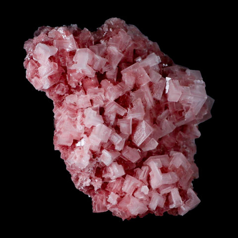 4.7" Quality Deep Pink Halite Salt Crystals Cluster Mineral Trona, CA Searles Lake - Fossil Age Minerals