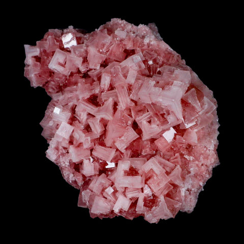 4.7" Quality Deep Pink Halite Salt Crystals Cluster Mineral Trona, CA Searles Lake - Fossil Age Minerals