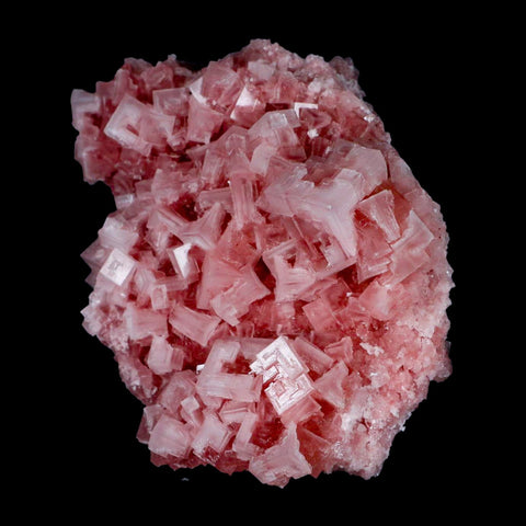 4.7" Quality Deep Pink Halite Salt Crystals Cluster Mineral Trona, CA Searles Lake - Fossil Age Minerals