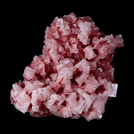 5.1" Quality Deep Pink Halite Salt Crystals Cluster Mineral Trona, CA Searles Lake