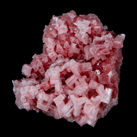 5.1" Quality Deep Pink Halite Salt Crystals Cluster Mineral Trona, CA Searles Lake - Fossil Age Minerals