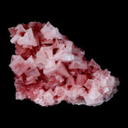 4" Quality Deep Pink Halite Salt Crystals Cluster Mineral Trona, CA Searles Lake