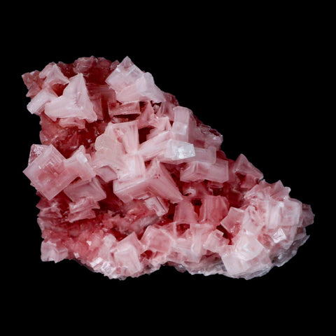 4" Quality Deep Pink Halite Salt Crystals Cluster Mineral Trona, CA Searles Lake - Fossil Age Minerals