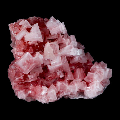 4" Quality Deep Pink Halite Salt Crystals Cluster Mineral Trona, CA Searles Lake - Fossil Age Minerals