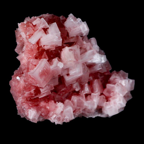 4" Quality Deep Pink Halite Salt Crystals Cluster Mineral Trona, CA Searles Lake - Fossil Age Minerals