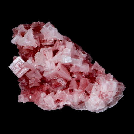 4" Quality Deep Pink Halite Salt Crystals Cluster Mineral Trona, CA Searles Lake