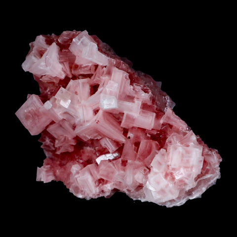 4" Quality Deep Pink Halite Salt Crystals Cluster Mineral Trona, CA Searles Lake - Fossil Age Minerals