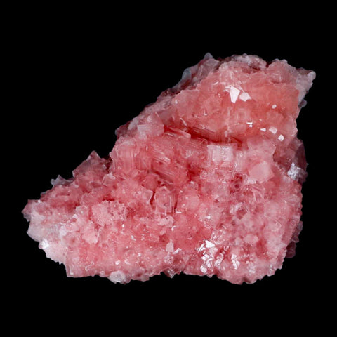 4" Quality Deep Pink Halite Salt Crystals Cluster Mineral Trona, CA Searles Lake - Fossil Age Minerals